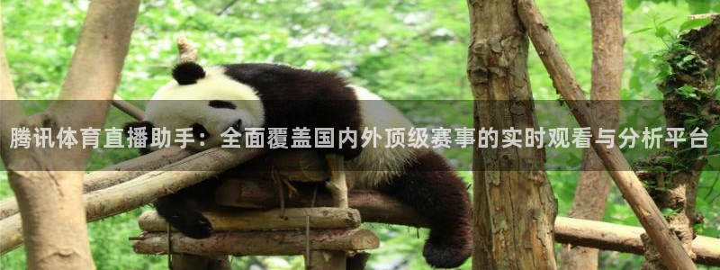 河豚搞笑：腾讯体育直播助手：全面覆盖国内外顶级赛事的实时观看与分析平台