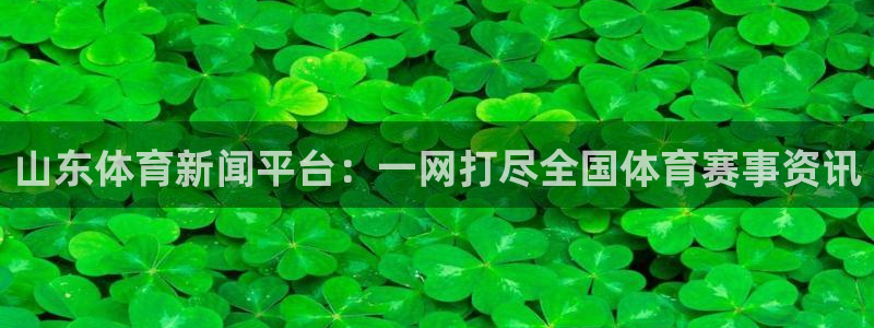 河豚足球体育直播：山东体育新闻平台：一网打尽全国体育赛事资讯