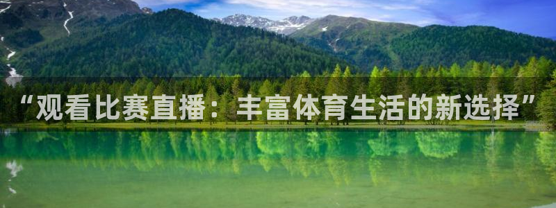 河豚体育直播官网：“观看比赛直播：丰富体育生活的新选择”