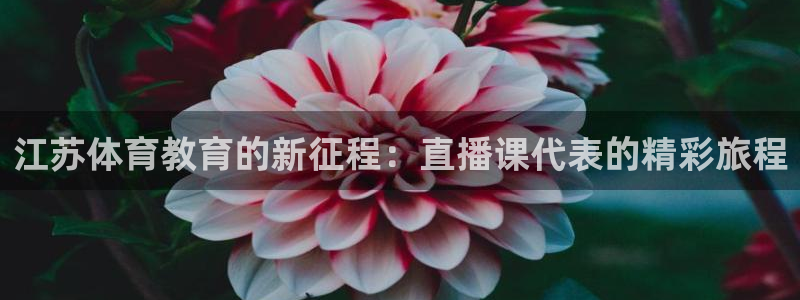 河豚nba体育直播：江苏体育教育的新征程：直播课代表的精彩旅程