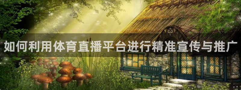 河豚体育篮球直播：如何利用体育直播平台进行精准宣传与推广