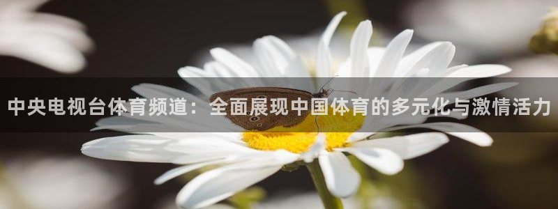 河豚体育赛事直播：中央电视台体育频道：全面展现中国体育的多元化与激情活力