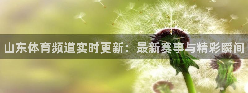 河豚体育直播app官网入口：山东体育频道实时更新：最新赛事与精彩瞬间