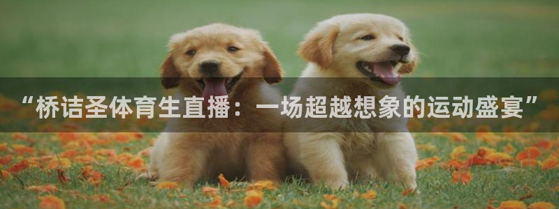 河豚体育app官方下载：“桥诘圣体育生直播：一场超越想象的运动盛宴”