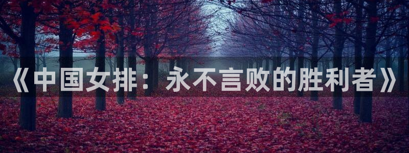 河豚篮球直播：《中国女排：永不言败的胜利者》