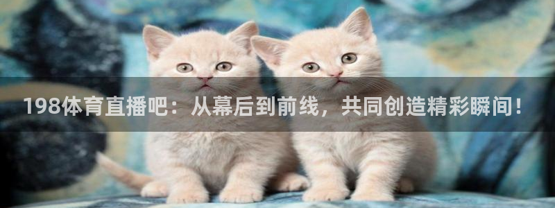 河豚在线：198体育直播吧：从幕后到前线，共同创造精彩瞬间！
