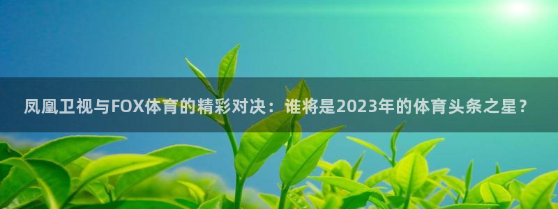 河豚足球比赛直播：凤凰卫视与FOX体育的精彩对决：谁将是2023年的体育头条之星？