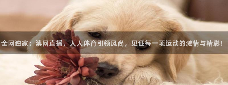 河豚在线：全网独家：澳网直播，人人体育引领风尚，见证每一项运动的激情与精彩！