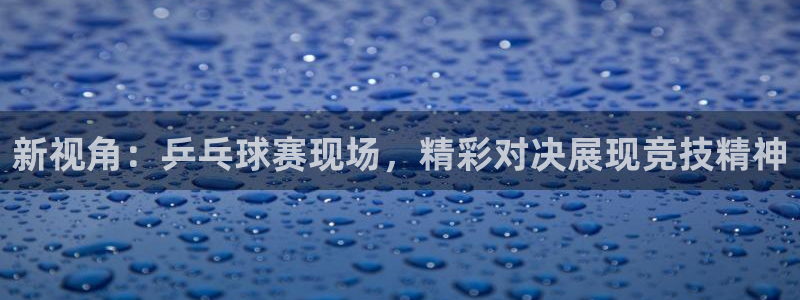 河豚体育直播app下载