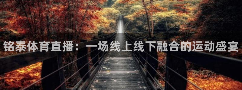 河豚体育直播免费下载