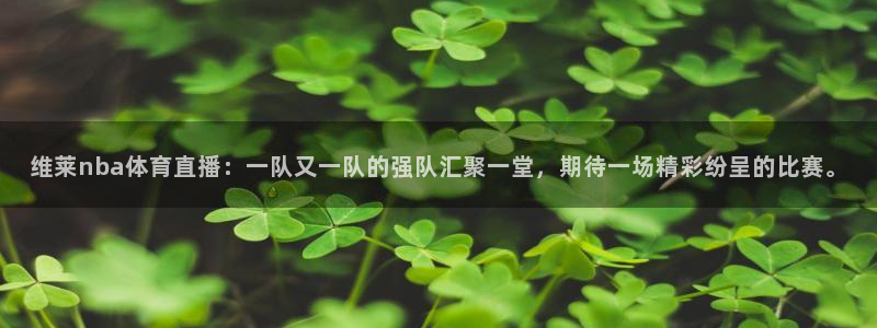 河豚tv直播