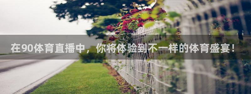 河豚体育足球直播