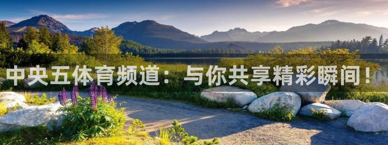 河豚在线nba直播