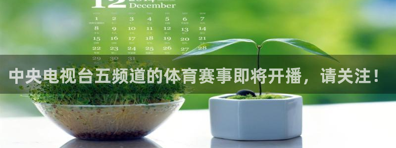 河豚nba直播