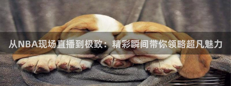 河豚在线直播nba：从NBA现场直播到极致：精彩瞬间带你领略超凡魅力
